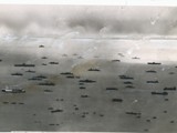 1945-20-02 5th fleet at Iwo Jima1
