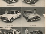 1975 Subaru Modelline