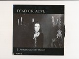 Dead or Alive - Something in My House1