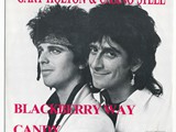 Gary Holton and Casino Steel - Blackberry Road1
