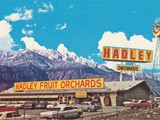 Hadley Fruit Orchards, Cabazon, California, US1