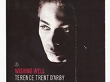 Terence Trent D`Arby - Wishing Well1