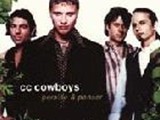 CC Cowboys - Persille og Panser