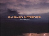 DJ Sakin - Walk on Fire