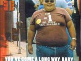 Fatboy Slim - You've Come a Long Way
